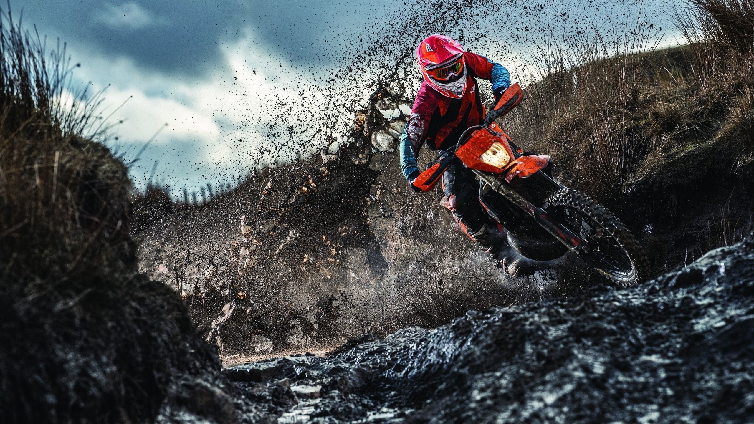 九游游戏-奥运周期关键战之夜，霍勒迪完成里程碑